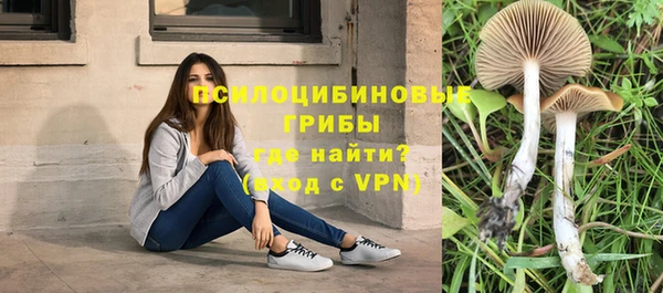 a pvp Алексеевка