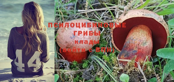 a pvp Алексеевка