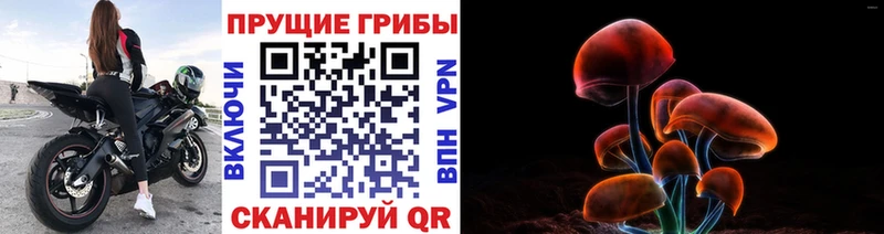 Галлюциногенные грибы Psilocybe  ссылка на мегу вход  Калязин 