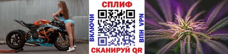 Конопля план  Калязин 